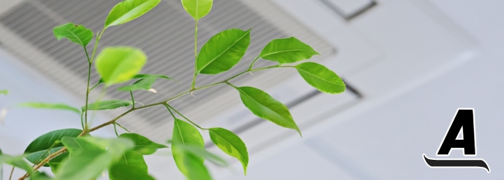 Close up shot of a plant in front an air vent on the ceiling